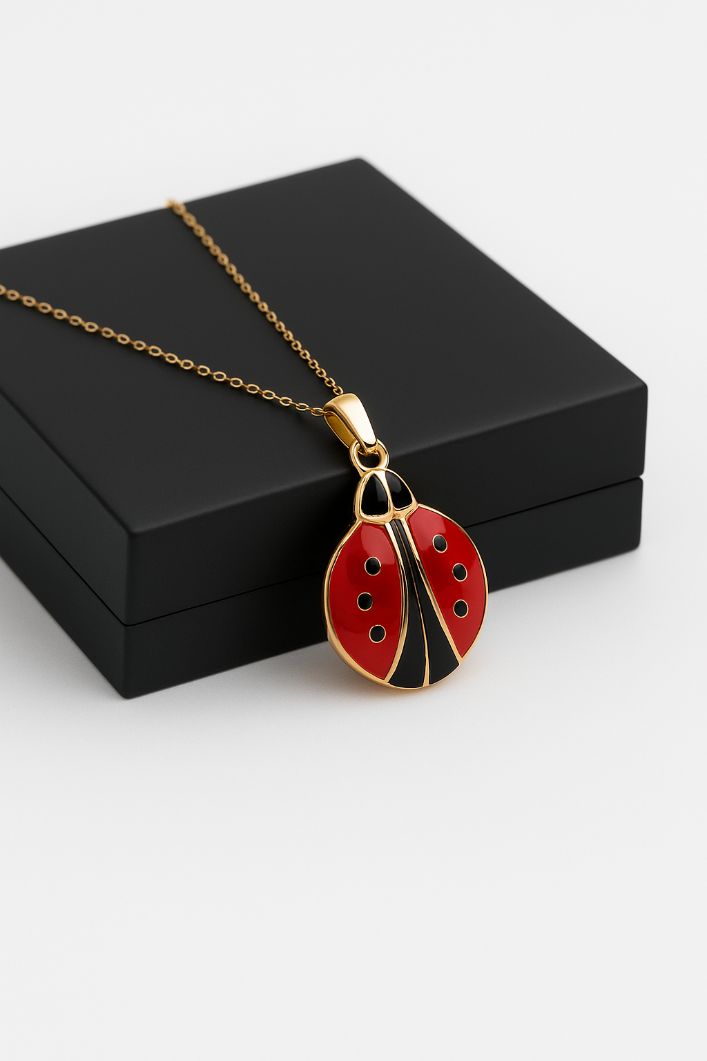 Hidden Message Ladybug - Custom