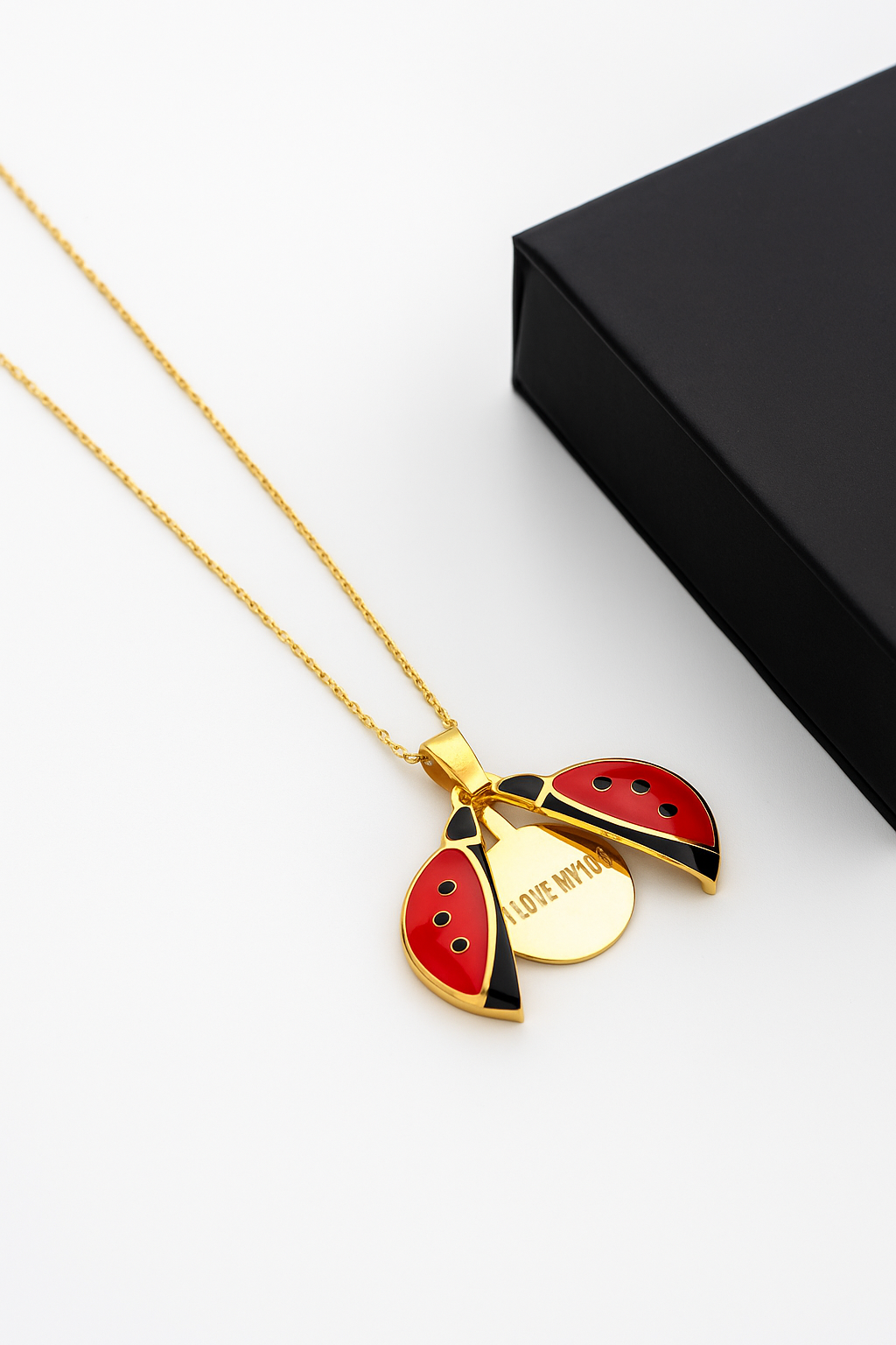 Hidden Message Ladybug - Custom