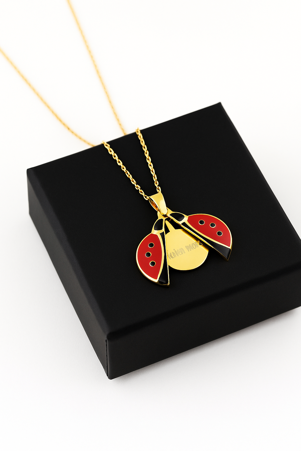 Hidden Message Ladybug - Custom