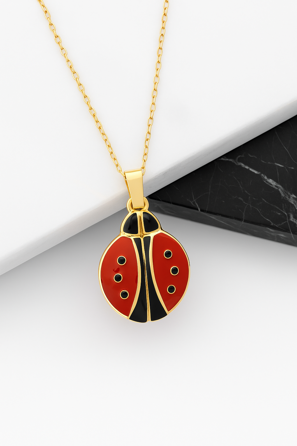 Hidden Message Ladybug - Custom